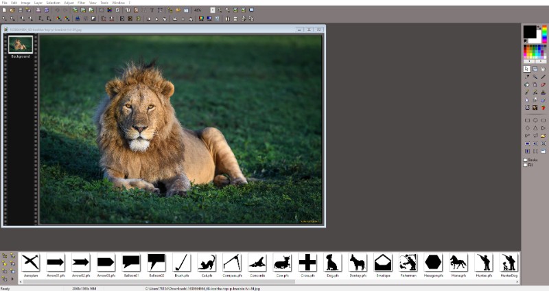 Image Compressor 2008 1