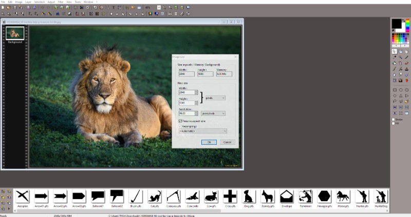 Image Compressor 2008 4