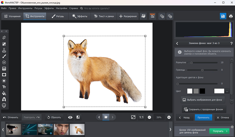 заливка фона