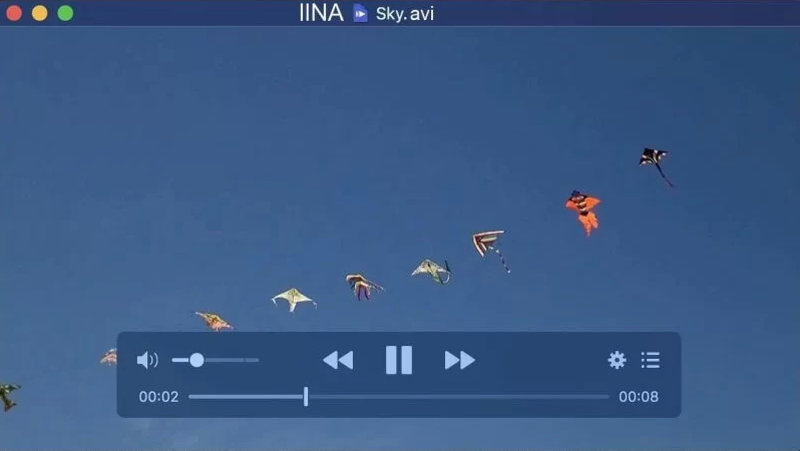 Скриншот программы IINA