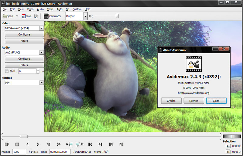 программа Avidemux