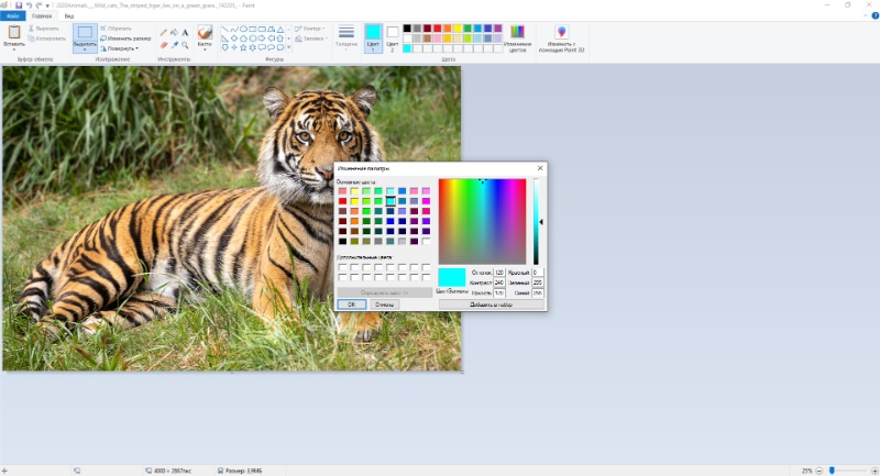 Microsoft Paint 2