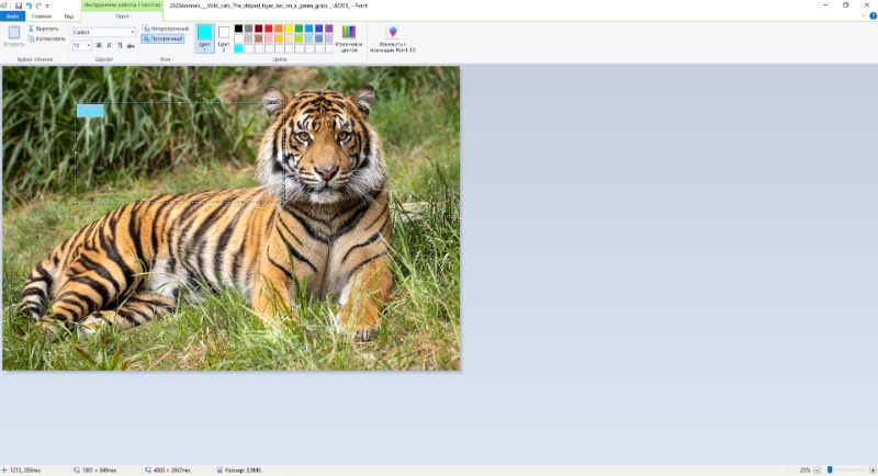 Microsoft Paint 4