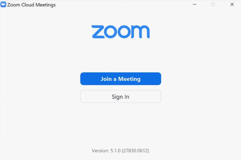 Скриншот Zoom