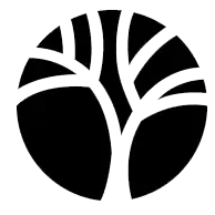 Логотип Timbre
