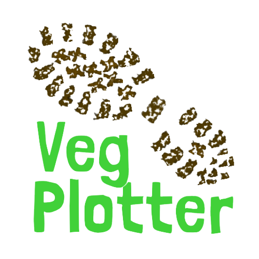 Логотип vegplotter.com